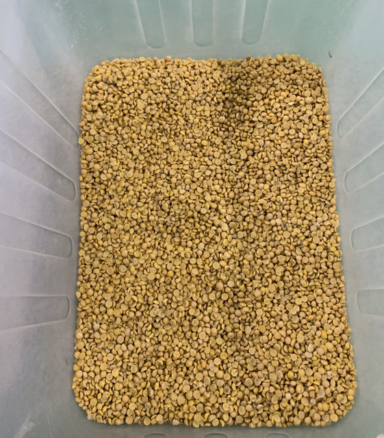 Macchina selezionatrice del colore per fagioli di soia a 3 canali Wenyao Full Automatic