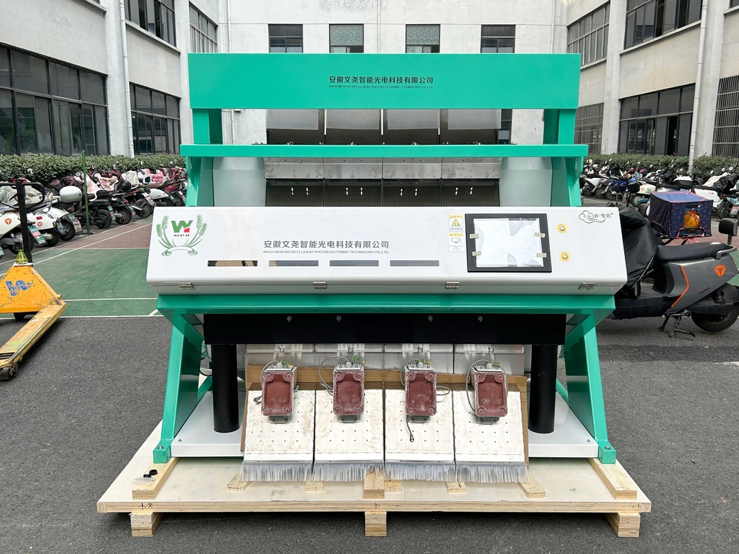 WENYAO Agricultural High Speed Wheat Color Sorter con sistema di controllo AI