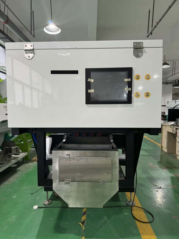 CCD Camera Ottica Aglio Color Sorting Peeling Aglio Rimozione Macchine macchiate Noce Aglio ciliegio Caffè Color Sorting Machine con CE