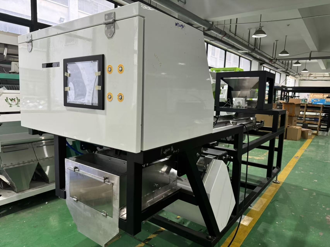 CCD Camera Ottica Aglio Color Sorting Peeling Aglio Rimozione Macchine macchiate Noce Aglio ciliegio Caffè Color Sorting Machine con CE