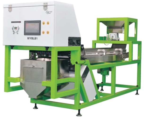 CCD Camera Ottica Aglio Color Sorting Peeling Aglio Rimozione Macchine macchiate Noce Aglio ciliegio Caffè Color Sorting Machine con CE