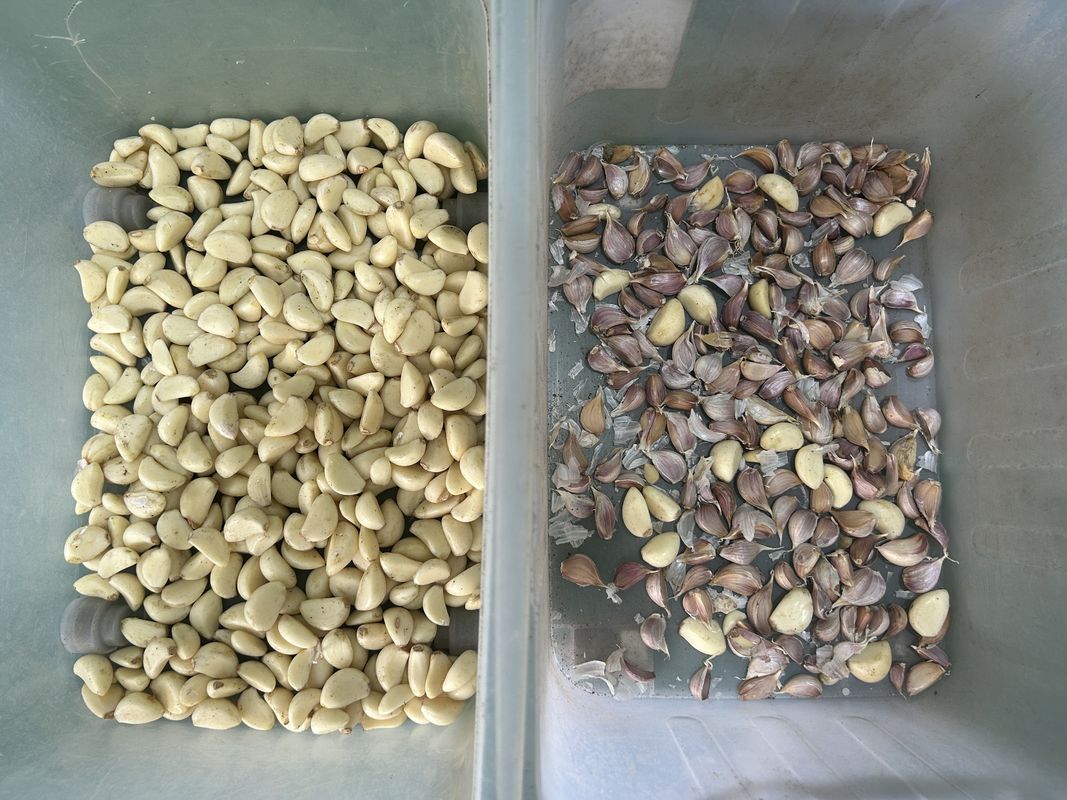 Semplice operazione cintura separatore di colore del minerale Macchinari ordinatori di colore del minerale