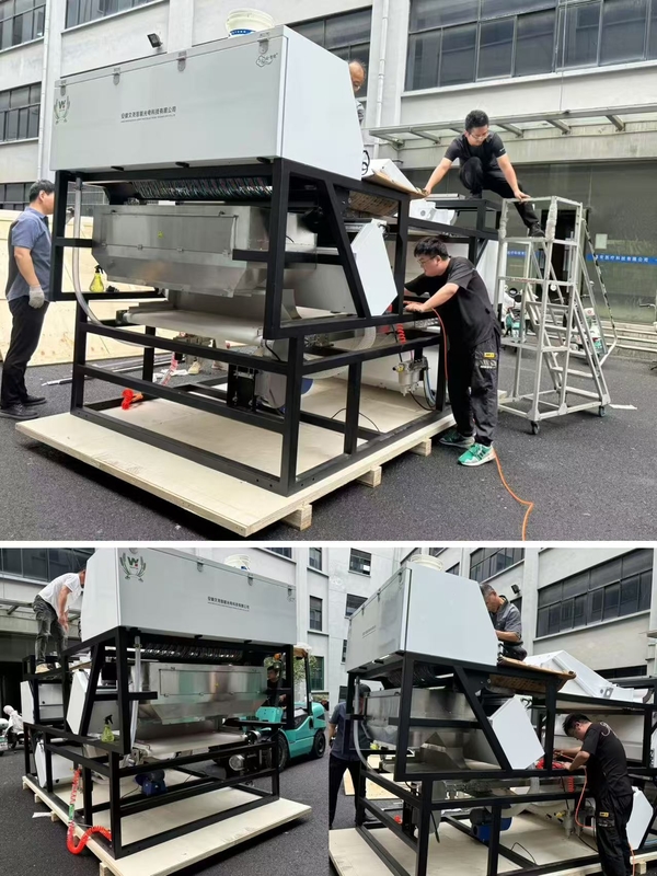Bottiglie di vetro rotto a doppio strato CCD Color Sorter Glass Color Sorter Sorting Machine