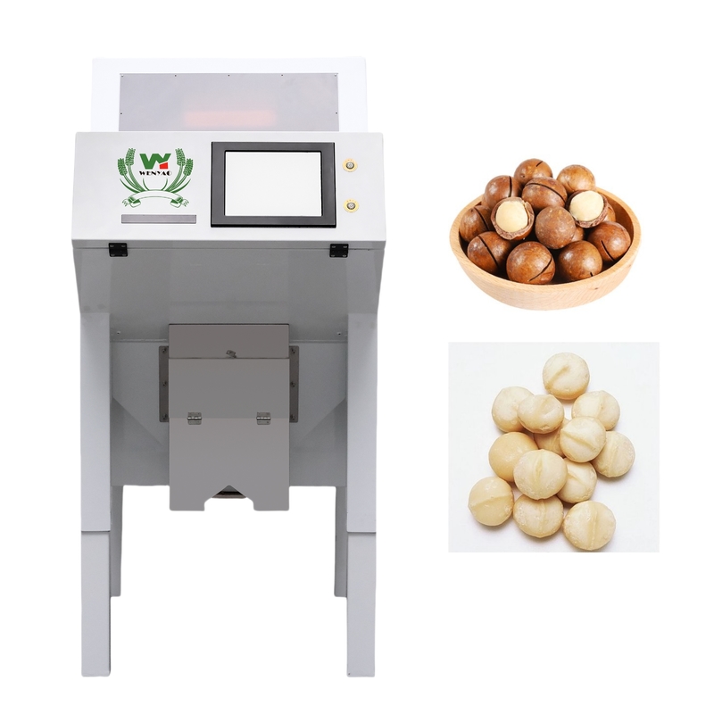 Accuratezza CCD Camera Automatica Macadamia Noce Color Sorting Machine