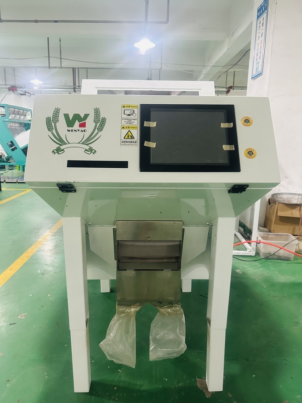 Accuratezza CCD Camera Automatica Macadamia Noce Color Sorting Machine