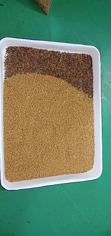 2000 kg/h Perù Quinoa Sortatore ottico full color CCD Sortatore Sortitore per cereali andini