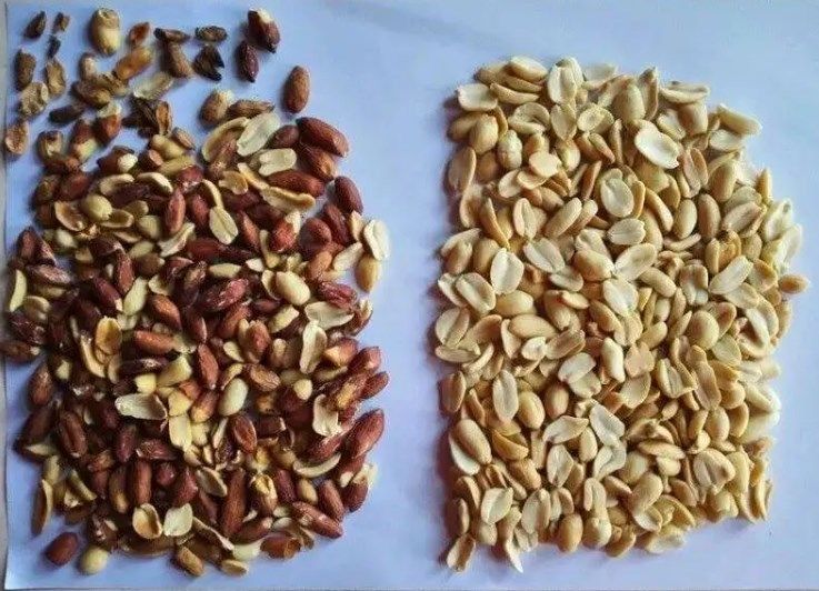 Selezionatore di colore del dado della mandorla del vaglio di colore della telecamera CCD di colore pieno di funzione di Wenyao Multi