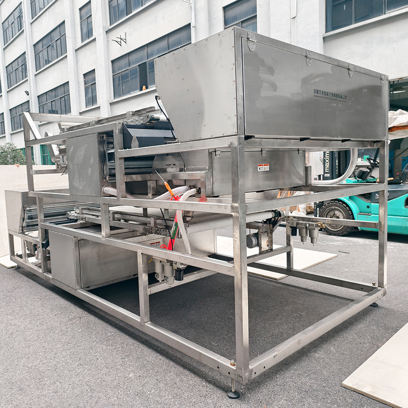 Fornitore di apparecchiature per la selezione di fluorite e il trattamento di minerali Wenyao Intelligent Stainless Steel Color Sorter