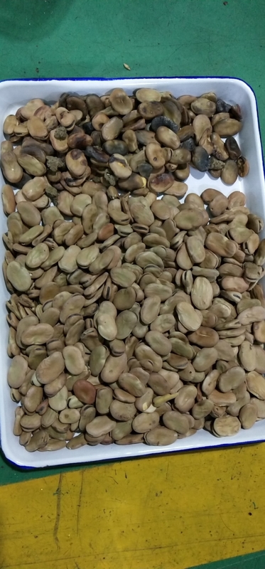 Selezionatrice cromatica per fave WENYAO 5 canali per uso industriale