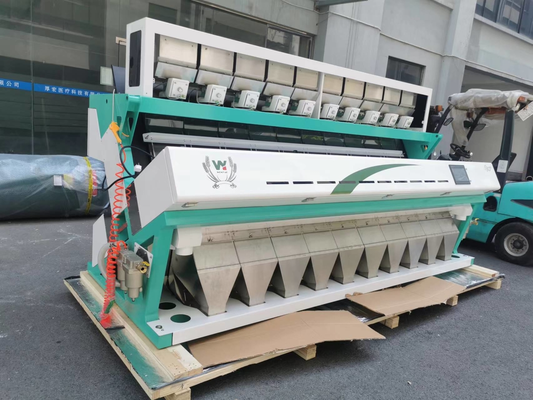 WENYAO 10T/h macchina automatica di selezione del colore del sale con garanzia di 2 anni