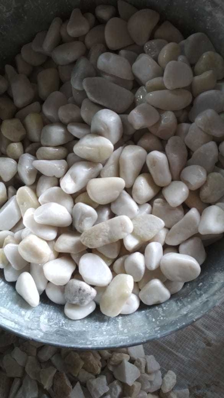 1200MM cintura Color Sorting Machine per il riso grano di minerale con 99,99% di precisione