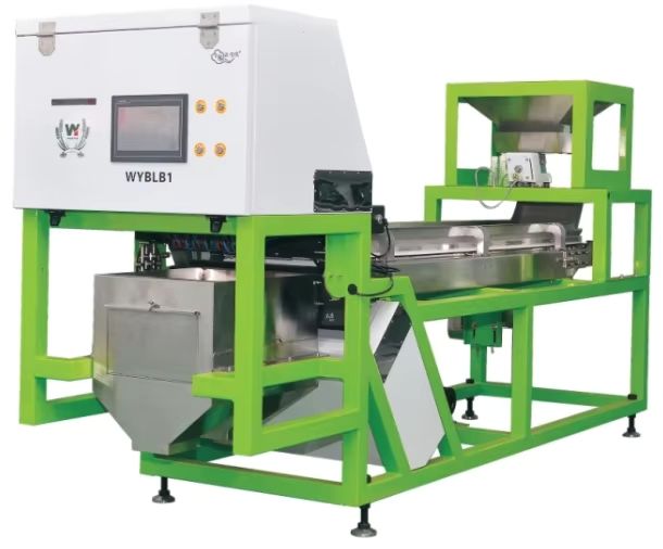 Wenyao Separazione automatica dei colori Blueberry fresco Juniper Berry Color Sorting Machine