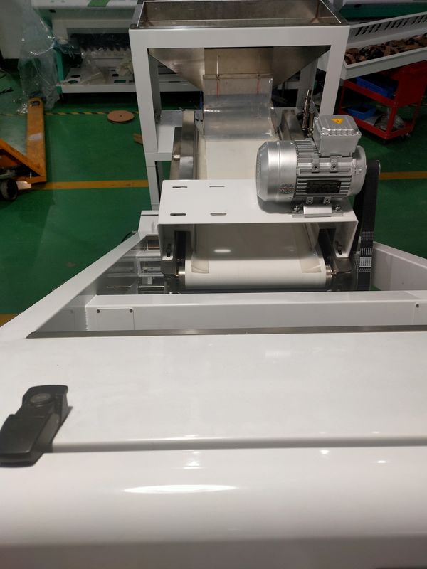 Wenyao Separazione automatica dei colori Blueberry fresco Juniper Berry Color Sorting Machine