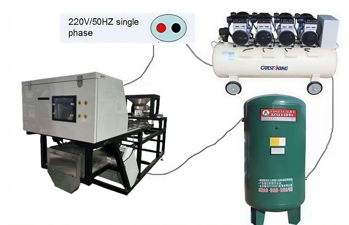 Wenyao Separazione automatica dei colori Blueberry fresco Juniper Berry Color Sorting Machine