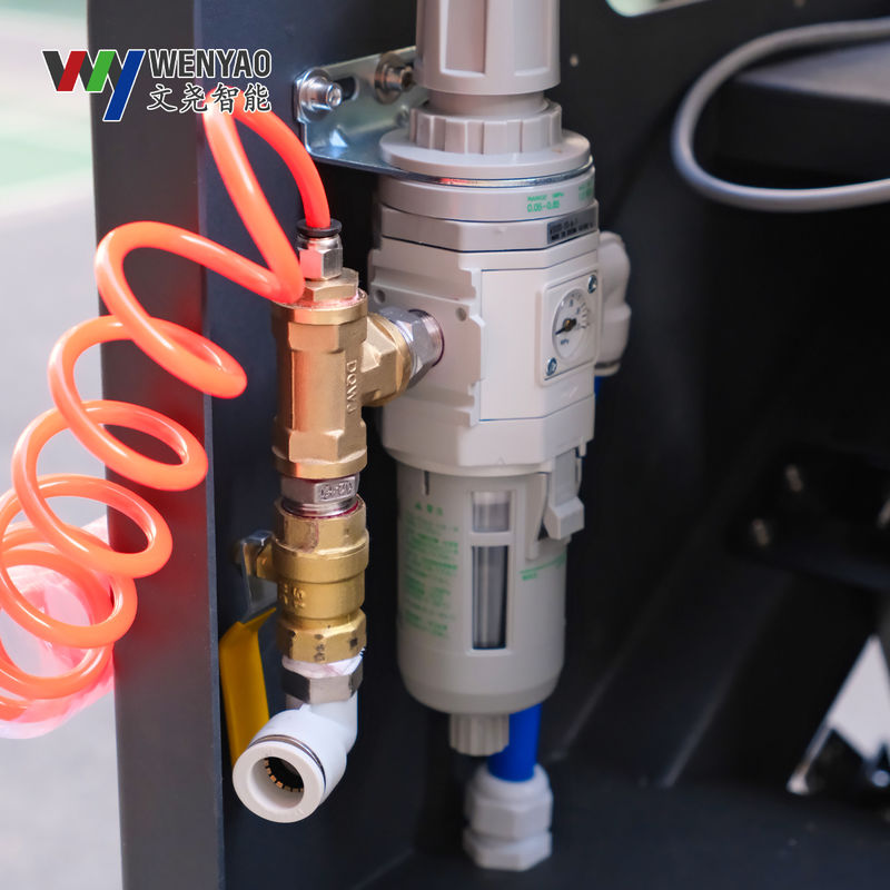 Wenyao Belt Color Sorter with OSRAM LED for Fruits Vegetables