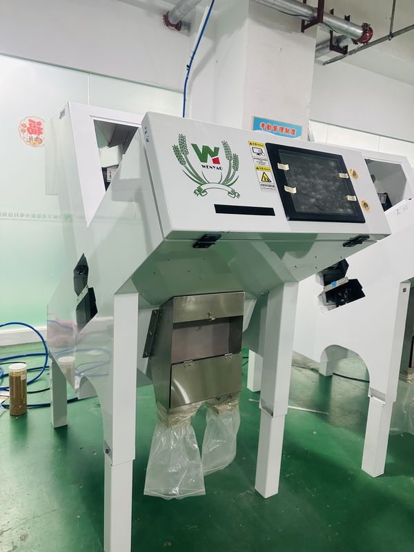 Macchina selezionatrice automatica Wenyao per la selezione del colore del pepe nero per semi e fagioli ad alta precisione