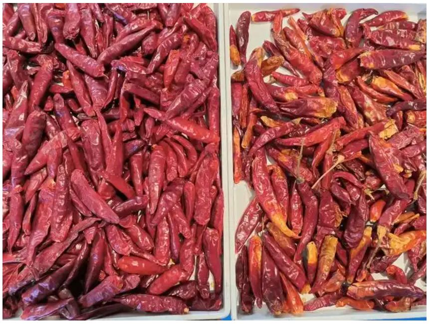 Buon prezzo Visione ottica intelligente Macchina di selezione del peperoncino Sortitore di colore di carbone minerale