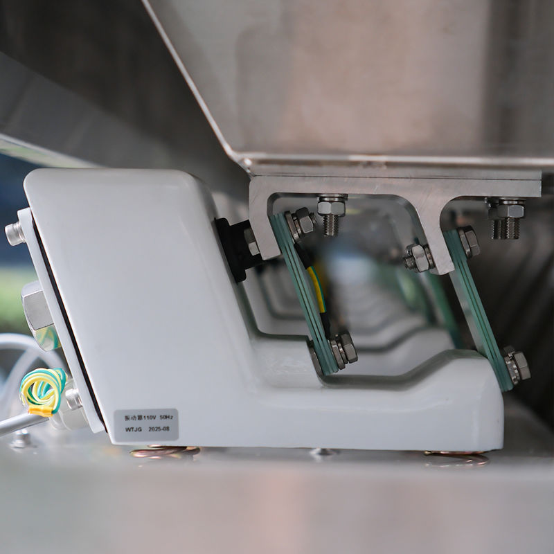 Fornitura di fabbrica selezionatrice ottica in acciaio inossidabile 316L CCD per l'industria, selezionatrice cromatica per la pulizia del sale, alta precisione