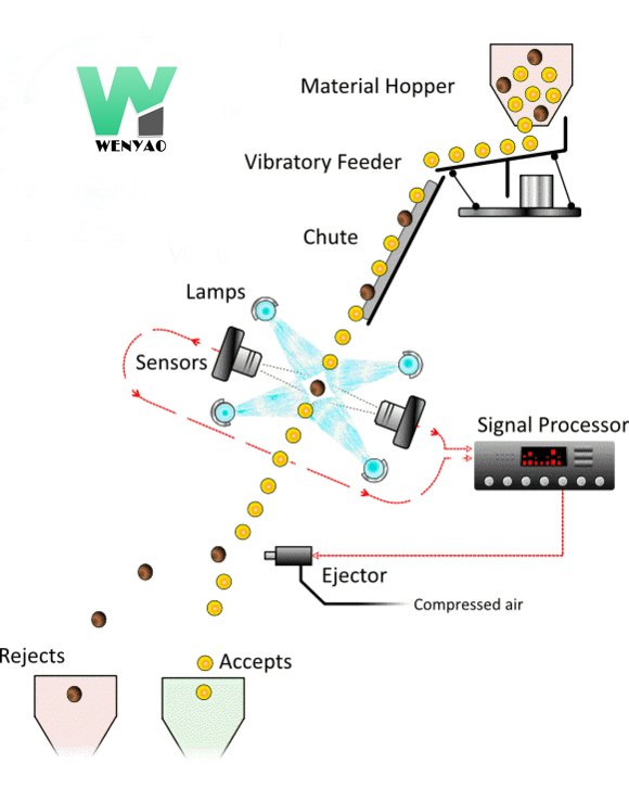 Weanyao 10 Chute Grandi capacità 304 316 acciaio inossidabile Intelligent Color Sorting Machine per il sale