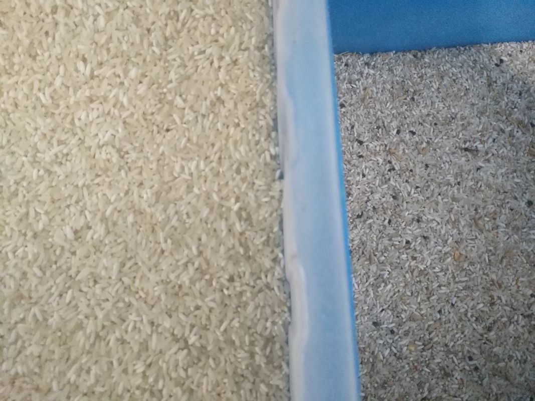 Vaglio di AI dei multi di scopo del CCD del riso di colore grani automatici del selezionatore