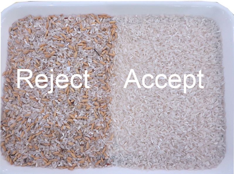 WENYAO Advanced Color Separation Rice Color Sorting Machine 900kg/H Capacità CCD Core Facile manutenzione