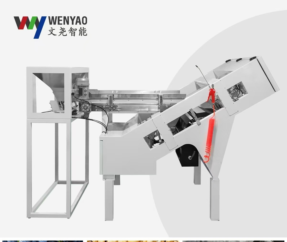 Macchina per il riciclaggio del PVC dell'ABS PP PE della macchina per la selezione dei colori in plastica della tecnologia AI
