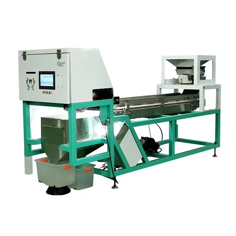 Seme di WENYAO Walnut Shell Removal Machine che scherma la macchina del selezionatore di colore del dado di AI