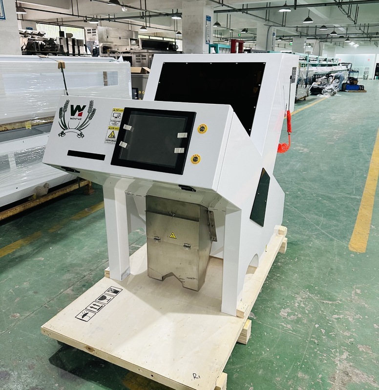 WENYAO Sementi ottiche Color Sorting Machine Muster Semi Reduce Semi Color Sorting per la vendita