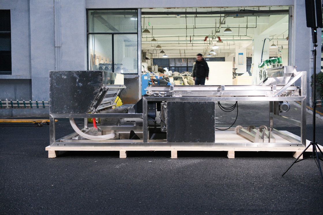 Optical Waterproof Belt Colour Sorter For Coffee Cherries Silkworm Chrysalis Frozen Vegetables