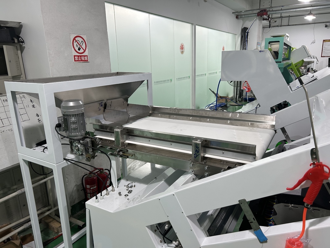 WENYAO 600mm Width Belt Color Sorter Optical Coffee Cherry BlueBerry Color Sorting Machine for Sale