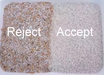 Parboiled Rice Color Sorting Machine Muti Chutes Color Sorter Grano Color Sorter