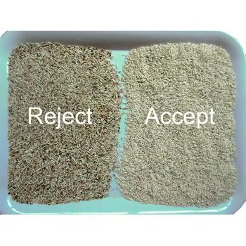 Sortitore di colore di riso intelligente Maglieria gialla millo Maglieria macchina per la classificazione del colore di grano Fagioli con alta precisione 4 canali