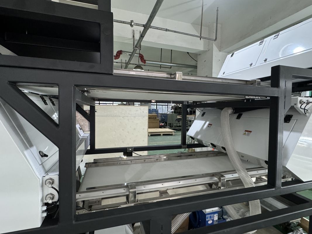 Buon prezzo Visione ottica intelligente Macchina di selezione del peperoncino Sortitore di colore di carbone minerale