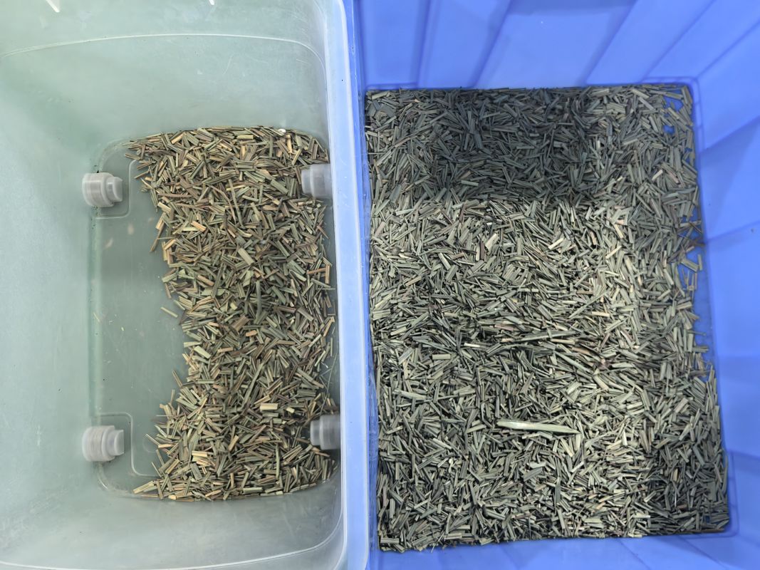 WENYAO CCD spice color sorter macchina ottica per la classificazione dei colori di limone con prezzo di fabbrica