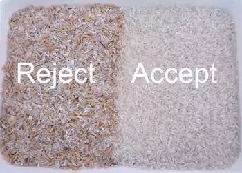 Selezionatrice compatta di colore per cereali con 64 canali, produzione 0.3-0.5 TPH e accuratezza di selezione del 99.99%