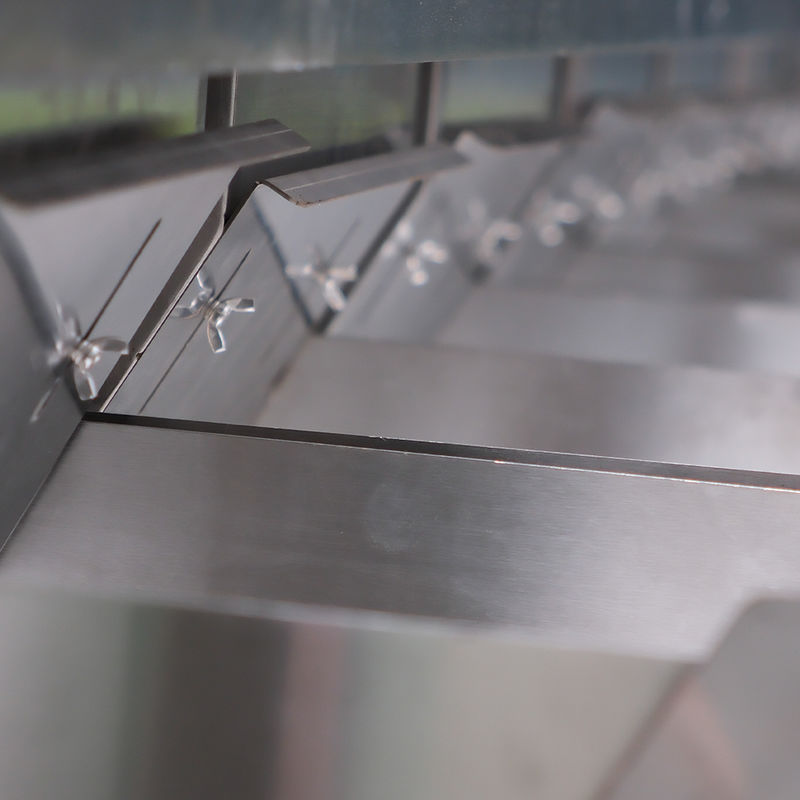 Macchina selezionatrice di colore per noci, fagioli, mandorle, arachidi. Macchina per la separazione. Rimuove i prodotti cattivi e ammuffiti.