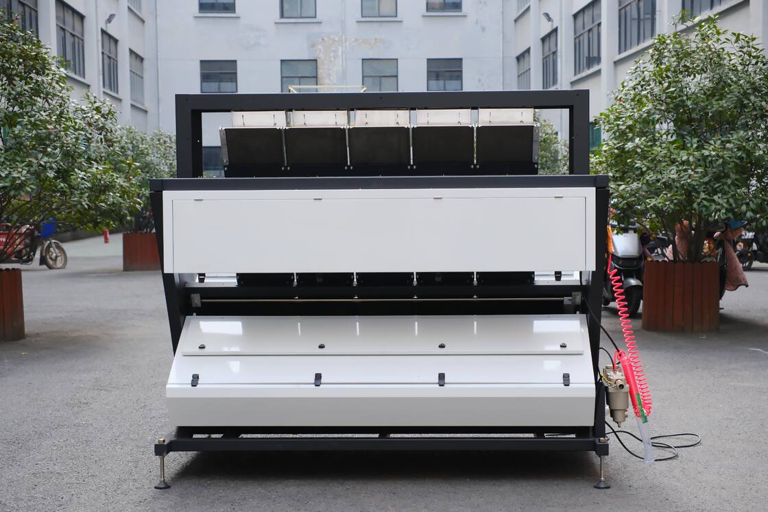 Wenyao 5 Chute Top Quality Color Sorter Fast Delivery Large Capacity Nut Raisin Color Sorting Machine for Fresh and Dried Fruit