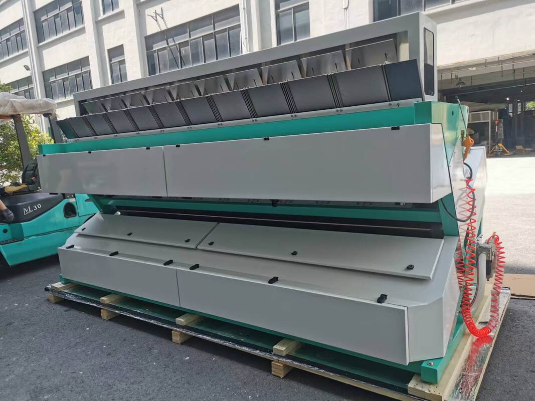 Wenyao Sea Buckthorn Ai Color Sorting Machine Fruit Sorting Red Bean Walnut Kernel Basmati Rice Lenticchie Colore dei semi di caffè