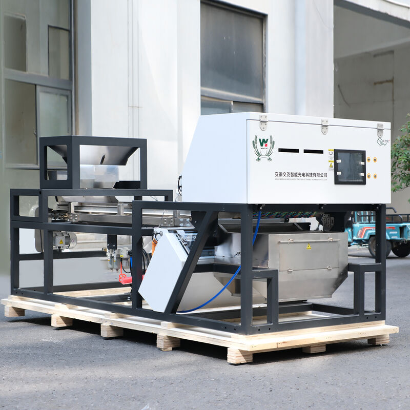 Macchina selezionatrice a colori intelligente per impieghi gravosi Wenyao con telecamera CCD RGB per la selezione di peperoncino e aglio e uscita di 1000-1500 kg/h con telecomando Wifi