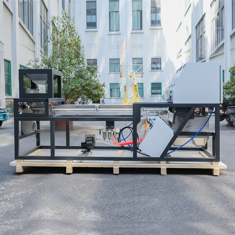 Macchina selezionatrice a colori intelligente per impieghi gravosi Wenyao con telecamera CCD RGB per la selezione di peperoncino e aglio e uscita di 1000-1500 kg/h con telecomando Wifi