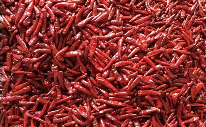 Macchina selezionatrice a colori intelligente per impieghi gravosi Wenyao con telecamera CCD RGB per la selezione di peperoncino e aglio e uscita di 1000-1500 kg/h con telecomando Wifi