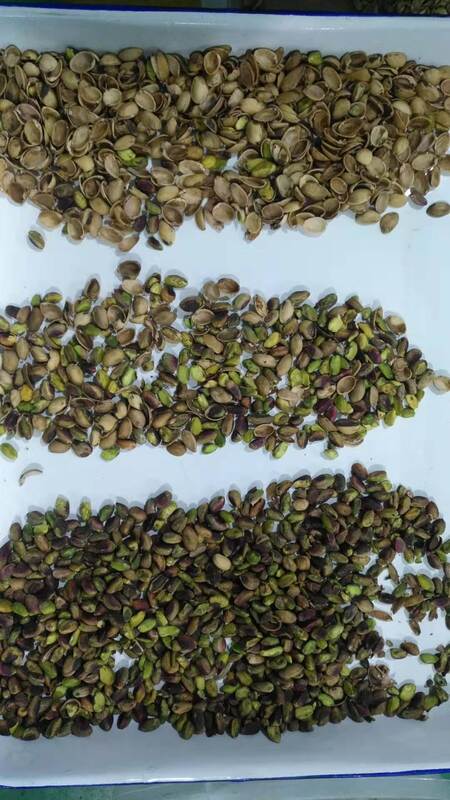 Wenyao Sortitore automatico di noci con sensore TOSHIBA CCD, Hopper in acciaio in acciaio inossidabile 304 per alimenti e telecomando Wifi per un'elevata efficienza nella classificazione delle noci