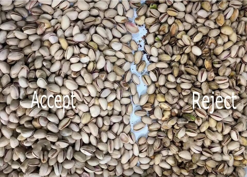 Wenyao Sortitore automatico di noci con sensore TOSHIBA CCD, Hopper in acciaio in acciaio inossidabile 304 per alimenti e telecomando Wifi per un'elevata efficienza nella classificazione delle noci