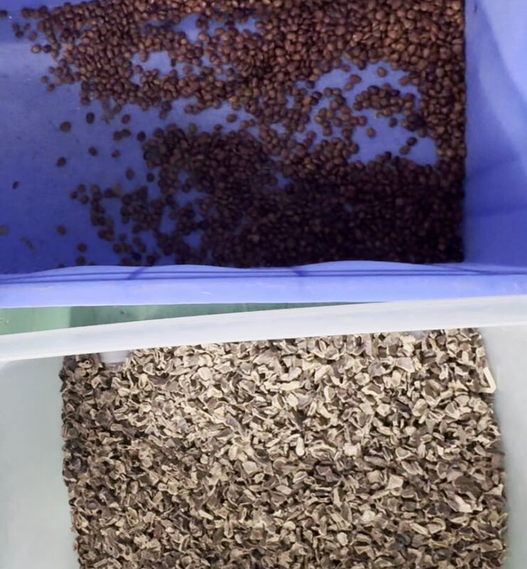 Wenyao 2025 Nuovissima Macchina Intelligente Selezionatrice di Colore per Capsule di Sapone a Doppio Nastro ad Alta Precisione con Controllo Remoto WIFI