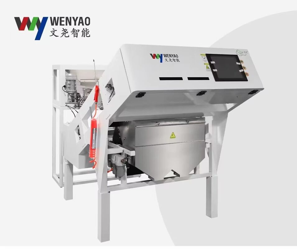 Wenyao 2025 Nuova due cinture larghe a bassa velocità anti-rottura Strawberry Blueberry Color Sorting Machine Automatic Coffee Cherry Color Sorting Machine