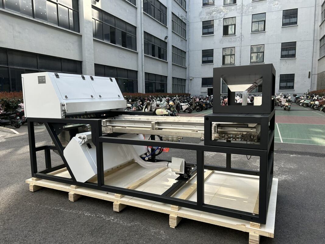 Selezionatrice cromatica per lampone secco, mirtillo e cereali ad alta capacità, larghezza nastro 600mm, colore Juniper