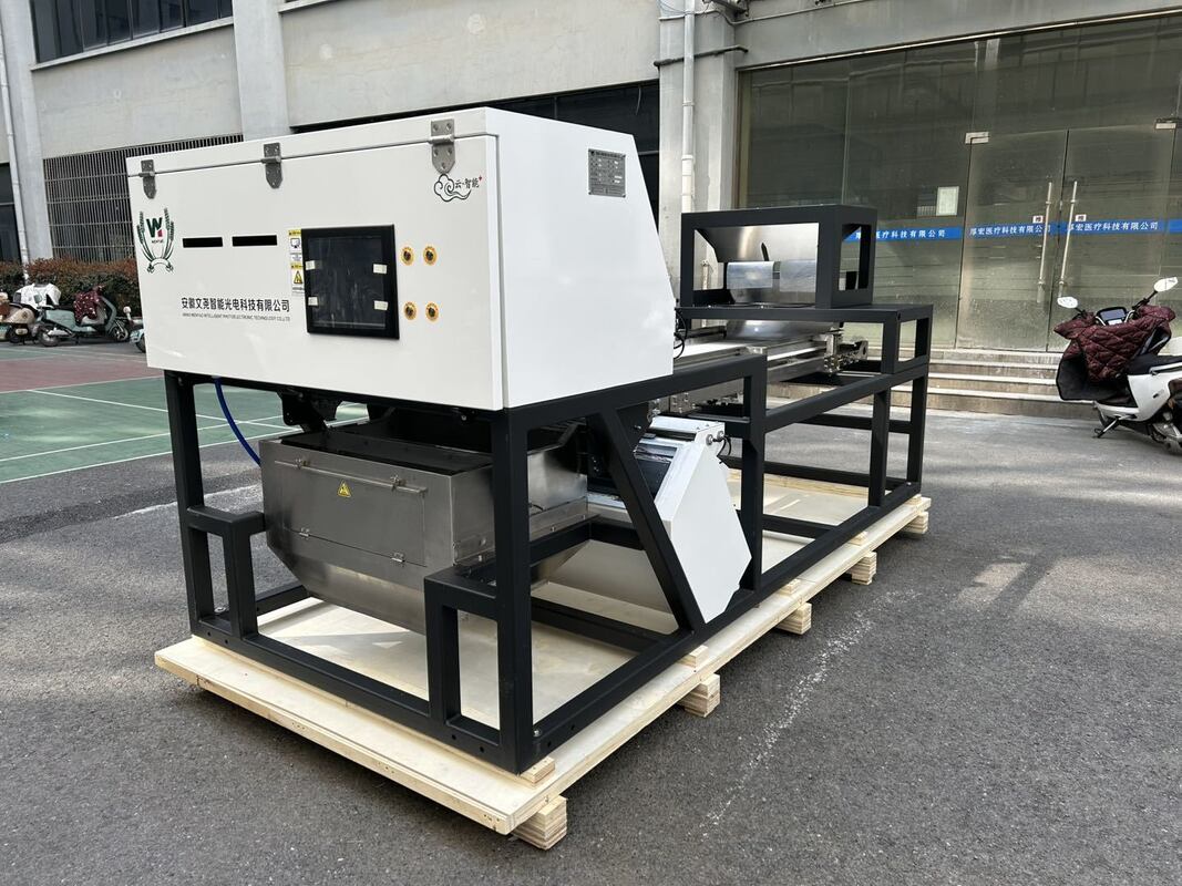 Selezionatrice cromatica per lampone secco, mirtillo e cereali ad alta capacità, larghezza nastro 600mm, colore Juniper