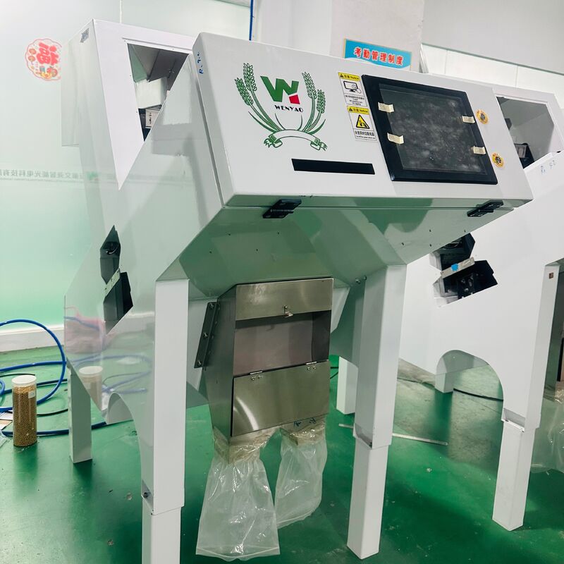 Wenyao Professional Nuts Separation Machine Cashew Nut Walnut Areca Nut Color Sorting Machine con telecomando WIFI