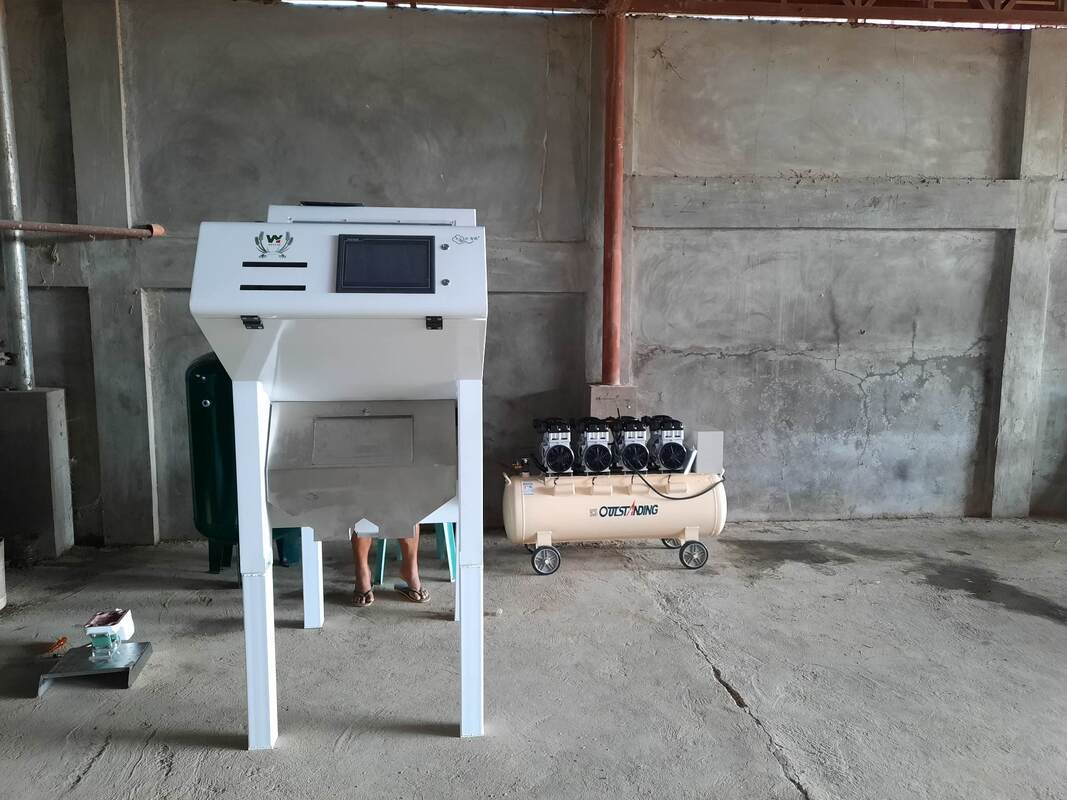 Wenyao Professional Nuts Separation Machine Cashew Nut Walnut Areca Nut Color Sorting Machine con telecomando WIFI