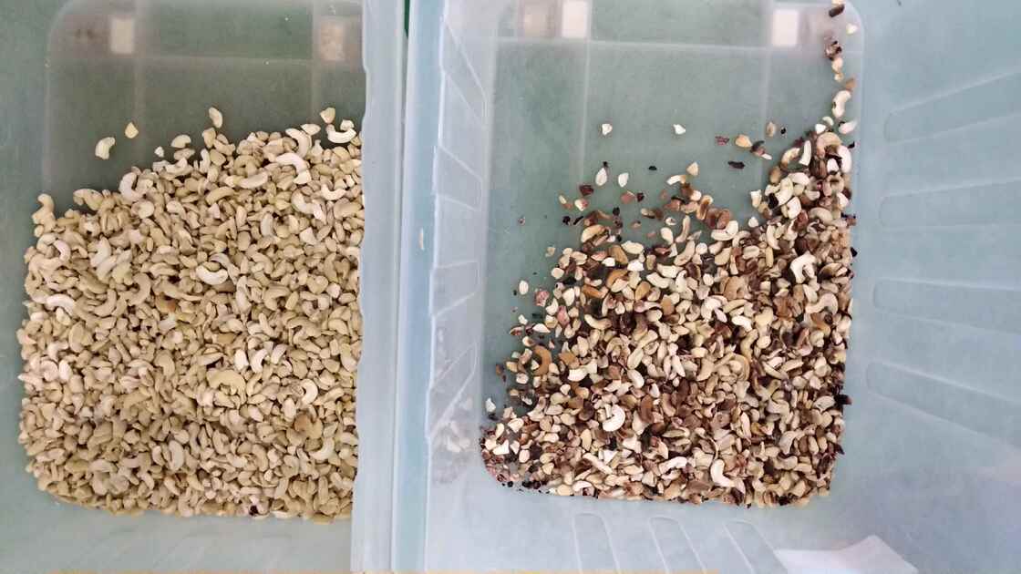 Wenyao Professional Nuts Separation Machine Cashew Nut Walnut Areca Nut Color Sorting Machine con telecomando WIFI